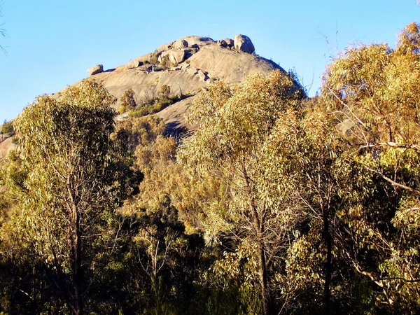 Klippformation Känd Som Pyramid Girraween Nationalpark Södra Queensland Australien — Stockfoto