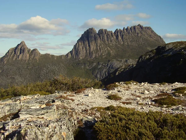 Magestic Cradle Mountain Intasmania Avustralya Bulunan — Stok fotoğraf