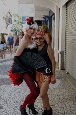 Florianopolis, şehir merkezinde, Santa Catarina, Brasil/28th Novenber 2009/erkek Eşcinsel Dostu Carnaval eğlenceli şehir merkezinin sokaklarında elbise çapraz