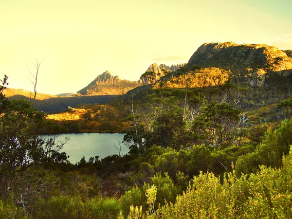 Sent Eftermiddagen Cradle Mountain National Park Tasmanien Australien — Stockfoto