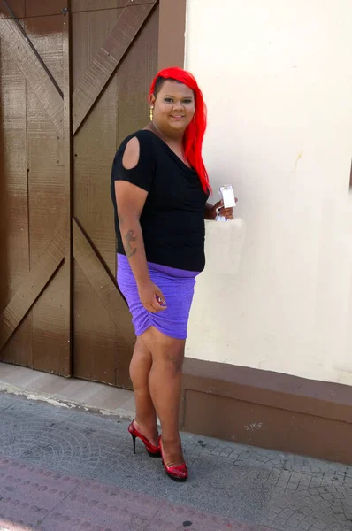 Florianopolis, şehir merkezinde, Santa Catarina, Brasil/28th Novenber 2009/erkek Eşcinsel Dostu Carnaval eğlenceli şehir merkezinin sokaklarında elbise çapraz