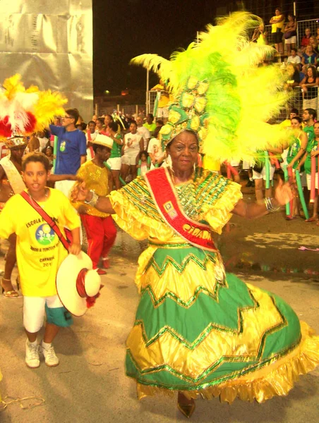 フロリアノー ポリス中心地側 サンタ カタリーナ州 Brasil 28Th 2009年 参加者カーニバル パレードで鮮やかな色の幻想的なカーニバル衣装 — ストック写真