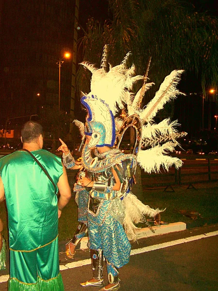 Florianopolis Ciy Merkezi Santa Catarina Brasil 28Th Novenber 2009 Katılımcılar — Stok fotoğraf