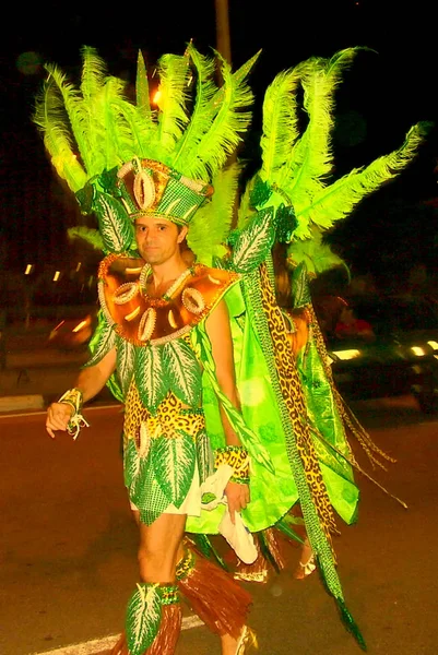 Florianopolis Ciy Center Santa Catarina Brasile Novembre 2009 Partecipanti Alla — Foto Stock