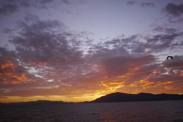 The break of day at a beach in Florianopolis Brazil