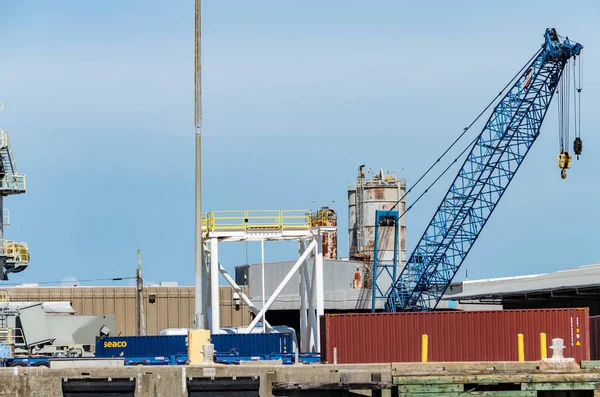 Blue crane at the port