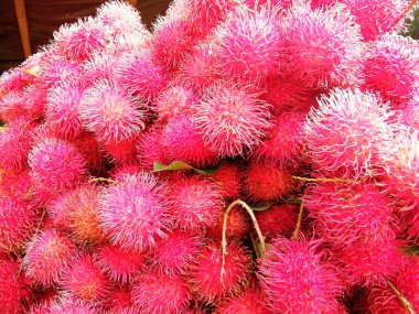 Rambutan, Sapindaceae familyasından orta büyüklükte bir tropikal ağaçtır. Bu isim aynı zamanda bu ağacın ürettiği yenilebilir meyveleri de ifade eder. Rambutan, Endonezya-Malezya bölgesine özgüdür.