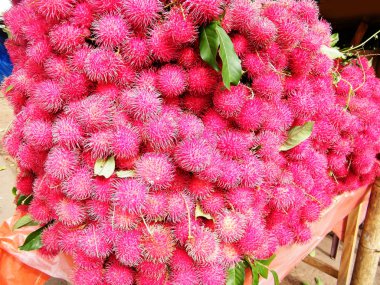 Rambutan, Sapindaceae familyasından orta büyüklükte bir tropikal ağaçtır. Bu isim aynı zamanda bu ağacın ürettiği yenilebilir meyveleri de ifade eder. Rambutan, Endonezya-Malezya bölgesine özgüdür.