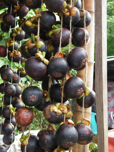 Mangostan Garcinia Mangostana Jest Tropikalny Wiecznie Zielone Drzewo Owoc Mangostanu — Zdjęcie stockowe