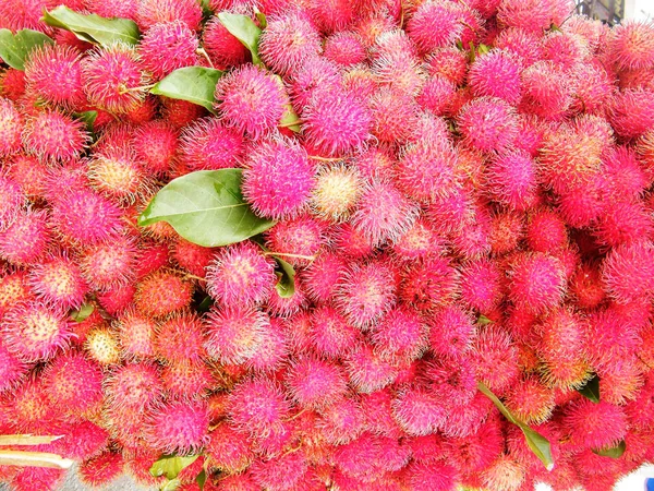Rambutan, Sapindaceae familyasından orta büyüklükte bir tropikal ağaçtır. Bu isim aynı zamanda bu ağacın ürettiği yenilebilir meyveleri de ifade eder. Rambutan, Endonezya-Malezya bölgesine özgüdür.