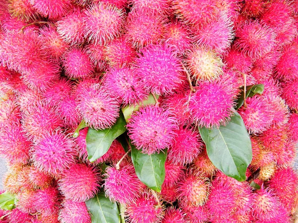 Rambutan, Sapindaceae familyasından orta büyüklükte bir tropikal ağaçtır. Bu isim aynı zamanda bu ağacın ürettiği yenilebilir meyveleri de ifade eder. Rambutan, Endonezya-Malezya bölgesine özgüdür.