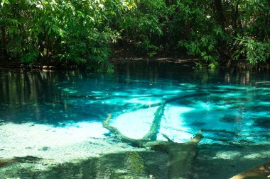 Krabi il, Tayland mavi havuzda. Tropik ormandaki açık zümrüt gölet