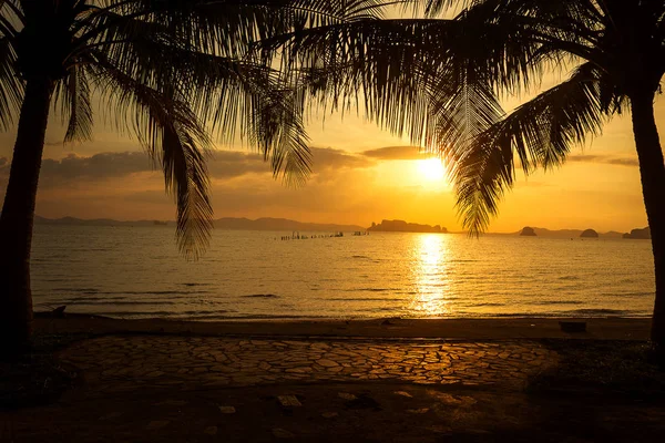 Silhouette Palmier Tropical Avec Coucher Soleil Sur Plage — Photo