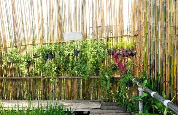 Bamboo fence with plants hange on bamboo wall — Stock Photo, Image