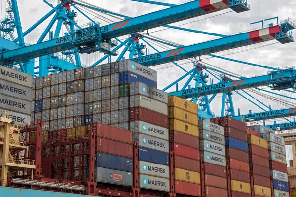 Rotterdam Aug 2017 Maersk Containerschiff Ankert Der Maasvlakte Hafen Von — Stockfoto