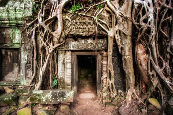 Angkor Thom Tapınağı Harabe Girişte Siam Reap Kamboçya — Stok fotoğraf