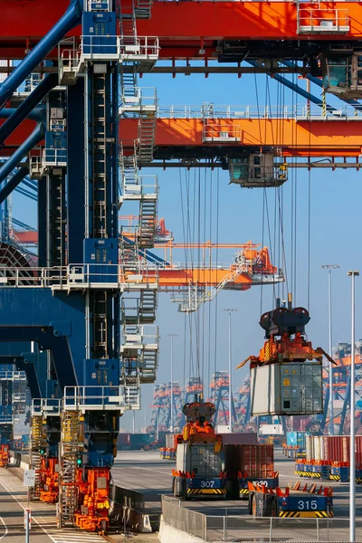 Shipping Container Gantry Kranen Voor Het Laden Van Schepen Haven — Stockfoto