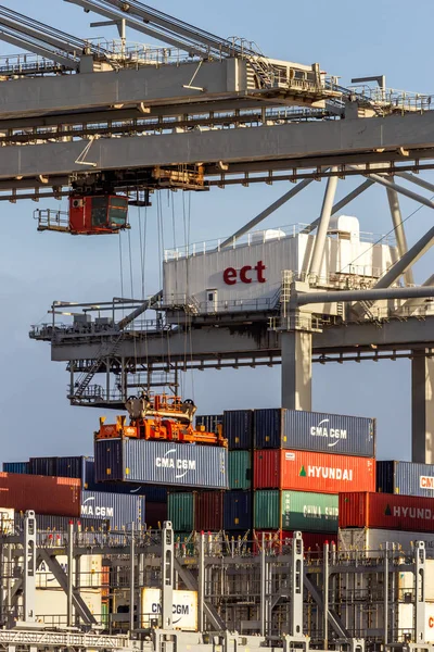 Rotterdam Jan 2012 Gantry Kranförare Att Placera Behållare Ett Lastfartyg — Stockfoto