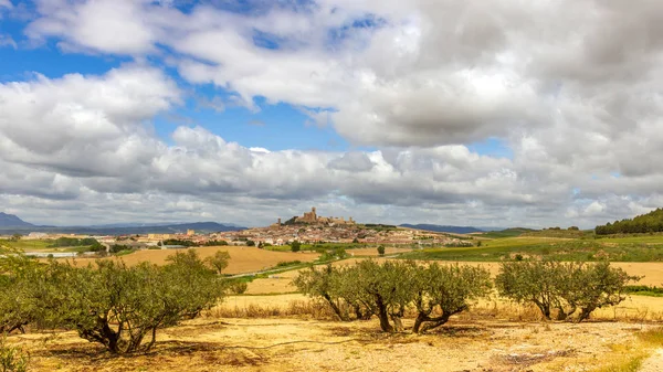 Scenic View Rural Spanish Landcape Olive Trees Front Old Artajona — Stock Photo, Image