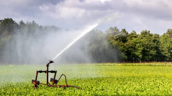 Sistema Irrigação Grande Campo Agrícola — Fotografia de Stock
