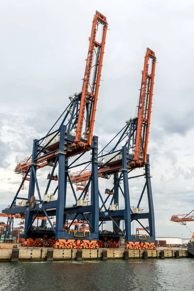 Rotterdam Augustus 2017 Verzending Kranen Een Containerterminal Haven Van Rotterdam — Stockfoto