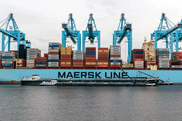 Rotterdam Aug 2017 Maersk Container Ship Moored Maasvlakte Port Rotterdam — Stock Photo, Image