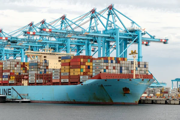 Rotterdão Ago 2017 Navio Porta Contentores Maersk Atracado Maasvlakte Porto — Fotografia de Stock