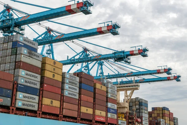 Rotterdam Aug 2017 Maersk Containerfartyg Förtöjd Maasvlakte Rotterdams Hamn — Stockfoto