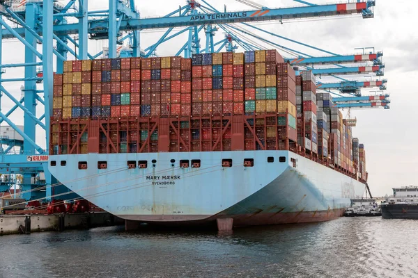 Ротттердам Aug 2017 Maersk Container Ship Moored Maasvlakte Port Rotterdam — стоковое фото