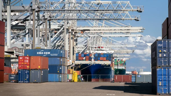 Rotterdam Netherlands Sep 2017 集装箱船在鹿特丹港的Maasvlakte被龙门起重机装载 — 图库照片