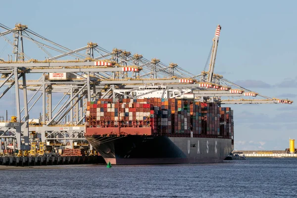 Rotterdam Netherlands Sep 2017 Container Ship Being Loaded Gantry Cranes — Stock Photo, Image