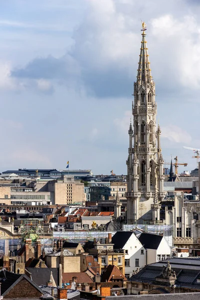 Kule Belediye Brüksel Belçika — Stok fotoğraf