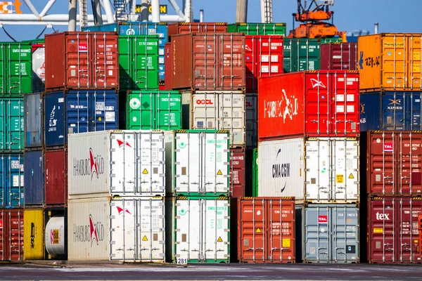 鹿特丹 2016年3月3日 鹿特丹港集装箱码头堆放的海运集装箱 — 图库照片