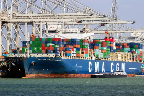 鹿特丹 2016年3月16日 Cma Cgm集装箱船在鹿特丹港的Ect航运码头由龙门起重机装载 — 图库照片