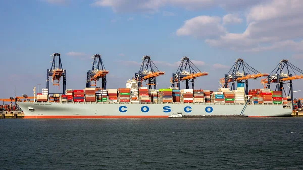 Rotterdam Mar 2016 Cosco Container Ship Being Loaded Gantry Cranes — Stock Photo, Image