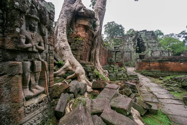 Tapınak harabe angkor wat — Stok fotoğraf