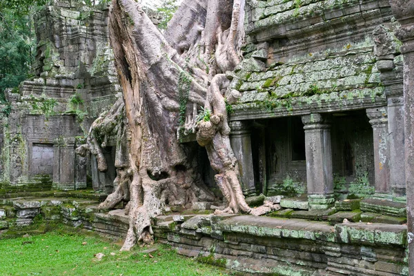 Świątynia ruiny Angkor Wat — Zdjęcie stockowe