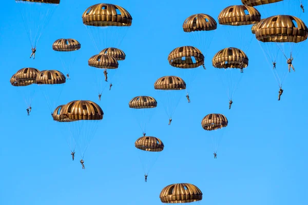 Group of military parachutist paratroopers in the sky during the — Stock Photo, Image
