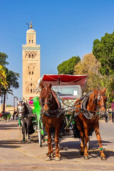 Kočáry Tažené Koňmi Čekají Turisty Náměstí Djemaa Fna Poblíž Mešity — Stock fotografie