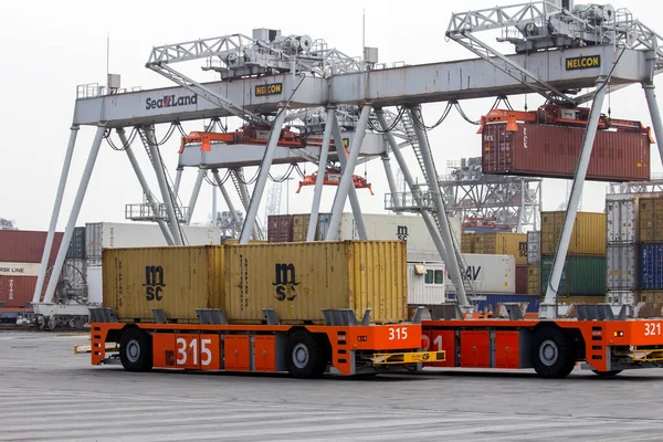 Geautomatiseerde Voertuigen Die Containers Vervoeren Van Naar Portaalkranen Haven Van — Stockfoto