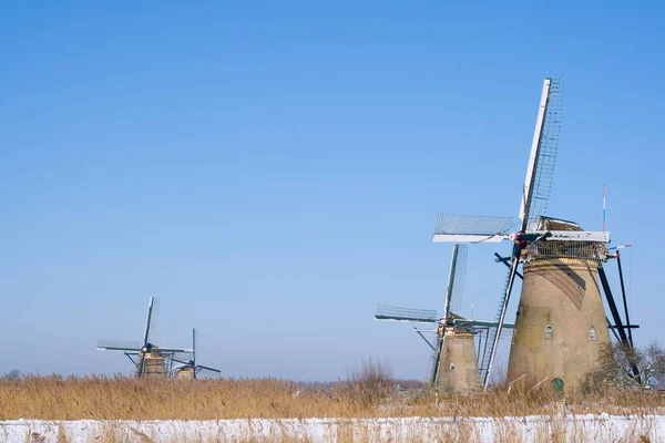 Windmühlen Holländischen Standort Kinderdijk Südholland — Stockfoto