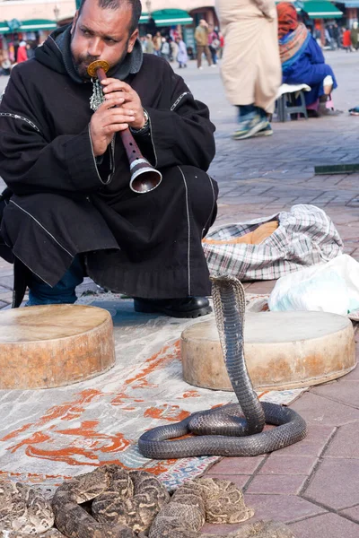 Marrakech Morocco January Snake Charmer Djemaa Fna Square January 2010 — Stock Photo, Image