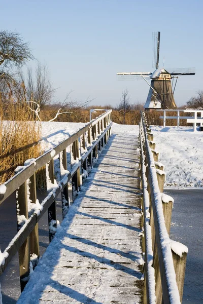 Bridge Windmills Kinderdijk Royalty Free Stock Images