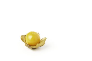 Cape bektaşi üzümü izole beyaz zemin üzerine.