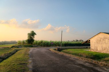 Gün batımında ya da gün doğumunda çakıllı bir yol boyunca küçük bir ev barındıran kırsal alan. Kırsal köy ile akşam ya da sabah köy yolu