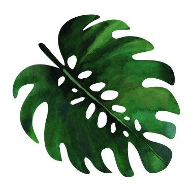 Palmiye yaprak suluboya doku tekrar modern desen