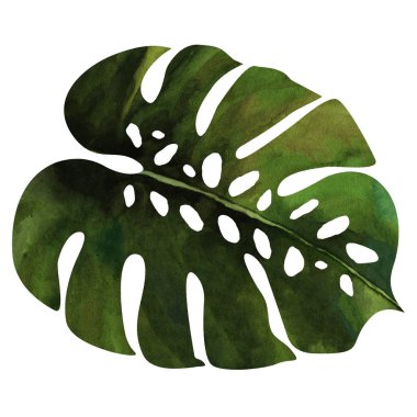 Palmiye yaprak suluboya doku tekrar modern desen