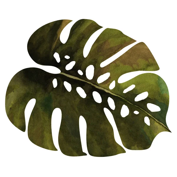 Palmiye yaprak suluboya doku tekrar modern desen