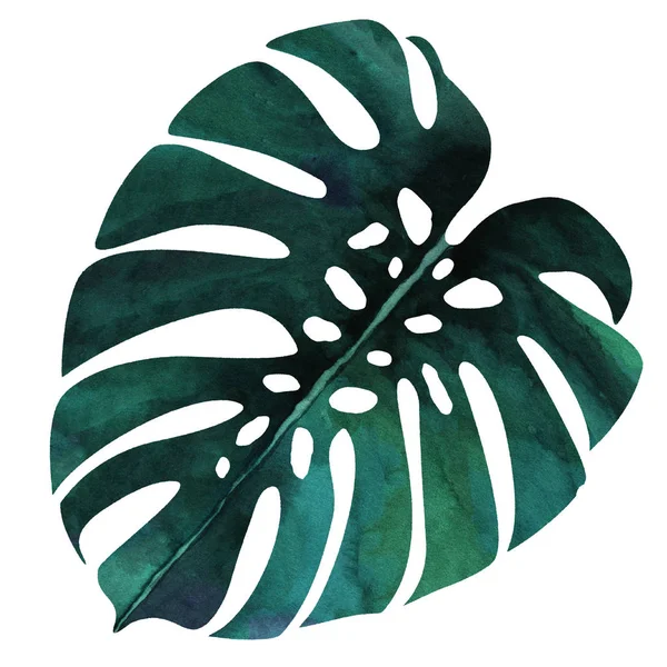 Palmiye yaprak suluboya doku tekrar modern desen