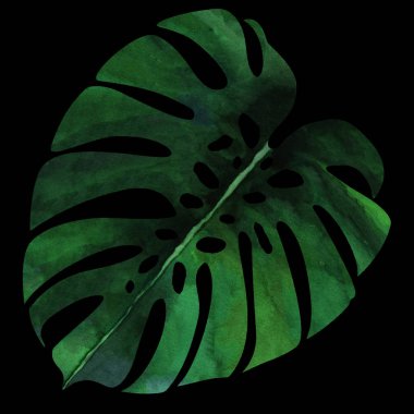 Sulu boya doku tekrar modern desen palmiye yaprakları